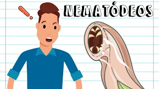 Resumo - NEMATELMINTOS