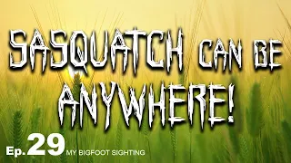 My Bigfoot Sighting Episode 29 - Sasquatch Can Be Anywhere!