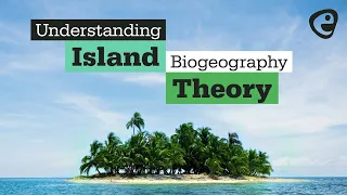 What is Island Biogeography Theory?