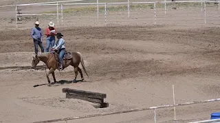 EXCA 2024 04 28 El Paso Sheriff's Posse Ranch Versatility Anabelle B Kissed By Gold