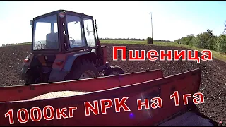 Посевная 2019 пшеница + Эксперимент норма NPK 1000кг/га.