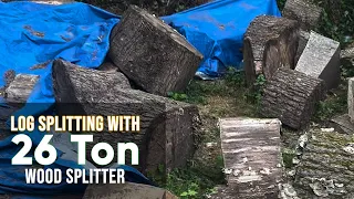 Splitting HUGE Wood with 26 Ton Log Splitter