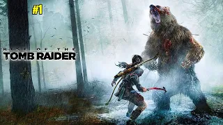 Fighting Wild Bear | Rise Of The Tomb Raider Gameplay #1