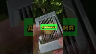 Проверь Насколько Ты Талантливый человек 😎👌