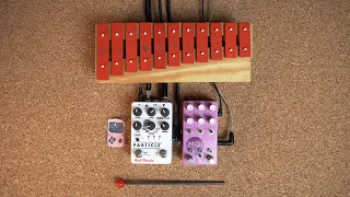 Chase Bliss Mood MKII, Red Panda Particle 2 and Glockenspiel // Clock Glitching