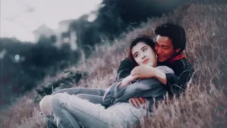 Tình Như Lá Bay Xa 难得有情人 • 王祖贤/Vương Tổ Hiền MV