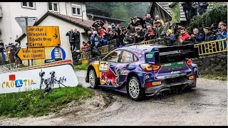 WRC Croatia Rally 2022 / Misstakes - Jumps - Flat out