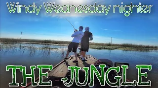 WINDY WEDNESDAY NIGHTER 5/17/23 California delta aka The Jungle