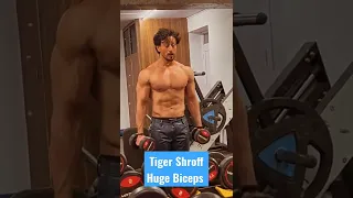 Tiger Shroff Biceps Workout Video #shorts