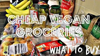 AFFORDABLE VEGAN GROCERIES - WHAT TO BUY + PRICES ♥ Cheap Lazy Vegan