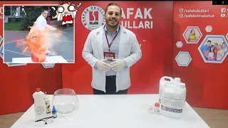 FİLDİŞİ MACUNU DENEYİ - ÖZEL ŞAFAK OKULLARI