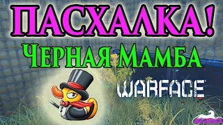 Warface ПАСХАЛКА - ЧЕРНАЯ МАМБА!