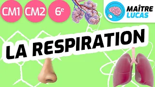 La respiration CM1 - CM2 - 6ème - cycle 3 - Sciences et technologie