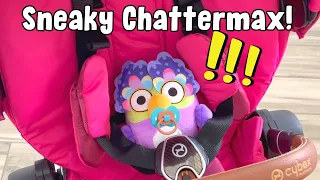 Bluey Sneaky CHATTERMAX! Can you spot all of Chattermax's hiding spots? Baby Chattermax? Disney Jr