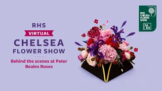 Behind the scenes at Peter Beales Roses | RHS Virtual Chelsea 2021