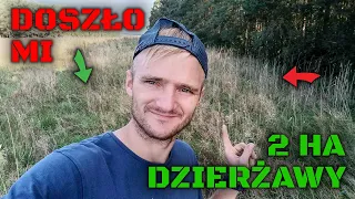 Wziąłem 2ha ziemi w dzierżawę. Czy żyto tam urośnie?