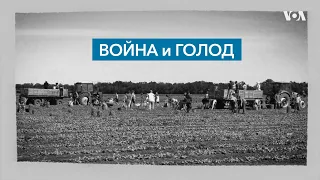 Война и голод: как вторжение России в Украину повлияет на продовольственную безопасность?