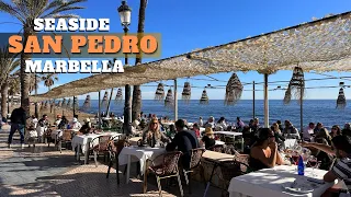 Sunny Seaside Escape: Unforgettable Walk Along the Costa del Sol| San Pedro| Marbella Spain
