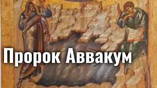 Аввакум обзор пророчеств