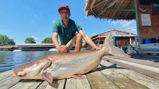 Mekong Catfish & Siamese Carp Fishing Thailand 2022= BKKGUY