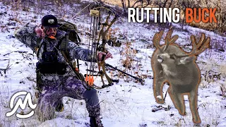 CHASING A BIG BUCK IN THE RUT | Extended Archery Utah