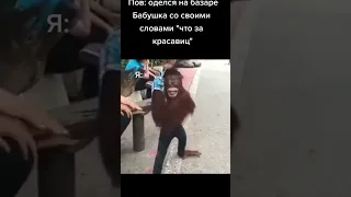 Мемы из Тик Тока 9 #memes #мемы #тикток #tiktok #shorts