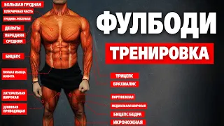 Лучшая ФУЛБОДИ программа тренировок для НАБОРА МАССЫ (тренировка «B»)