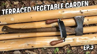 Terraced Vegetable Garden - E.3 - Harvesting and Hand Peeling Balsam for Raised-Bed Fence Posts