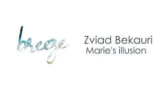 Zviad Bekauri - Marie's illusion | BREEZE MUSIC |