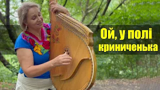 Ой, у полі криниченька - Українська весільна пісня (Бандура)