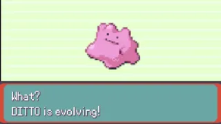 What! Ditto is Evolving!!!