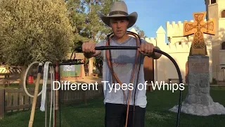 Types of Whips: a Comparison