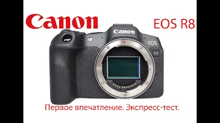 Canon EOS R8. Экспресс тест. Первое впечатление от камеры.