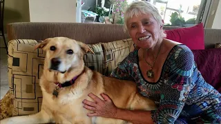 Woman, 74, describes how she confronted gator to save her dog