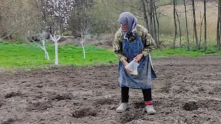 Бабуня командир , дед наблюдатель!🌻Украинское село