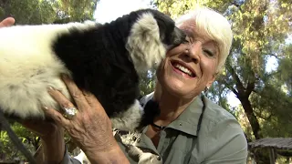 Joan Embery, world-famous animal ambassador shares her animals with Jeff Zevely in November 2020