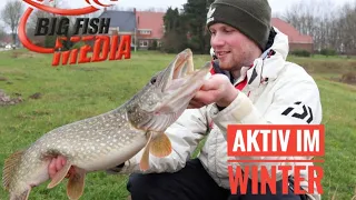 Aktiv im Winter - Spinnfischen auf Hecht