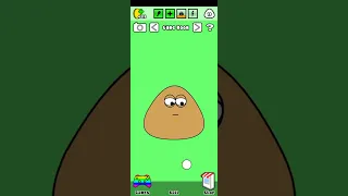 pou