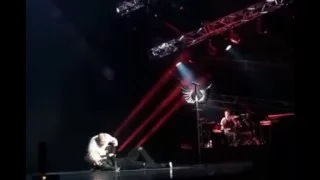 Певец Сергей Лазарев упал в обморок прямо на сцене во время концерта