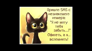 Желаю 👍 настроения!