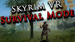 I Turned Skyrim VR Into an INSANE Hardcore Survival Game