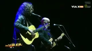 Chris Cornell - Wooden Jesus / Hunger Strike - T.O.D. Pro Shot 2011 HD