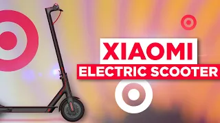 24 часа на электросамокате Xiaomi Mi Electric Scooter M365