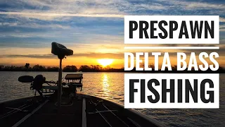 California Delta Prespawn Bass Fishing