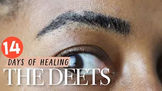 Microbladed Eyebrows Healing Process | The First 2 Weeks