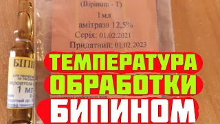 Бипин от клеща варроа. Температура обработки пчел бипином. Сроки обработки пчел бипином