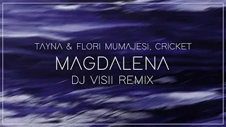 Tayna x Flori Mumajesi x  Cricket  Magdalena ( Dj Visii Remix )