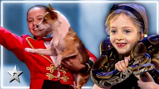 Adorable Animal Auditions from Around the World! | Kids Got Talent