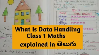 What is Data Handling || Class 1st Maths - Data Handling || Maths For Grade 1