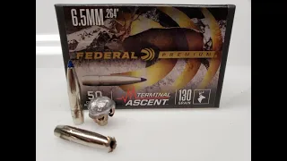 130 gr Federal Terminal Ascent ballistics gel test 6.5 Creedmoor